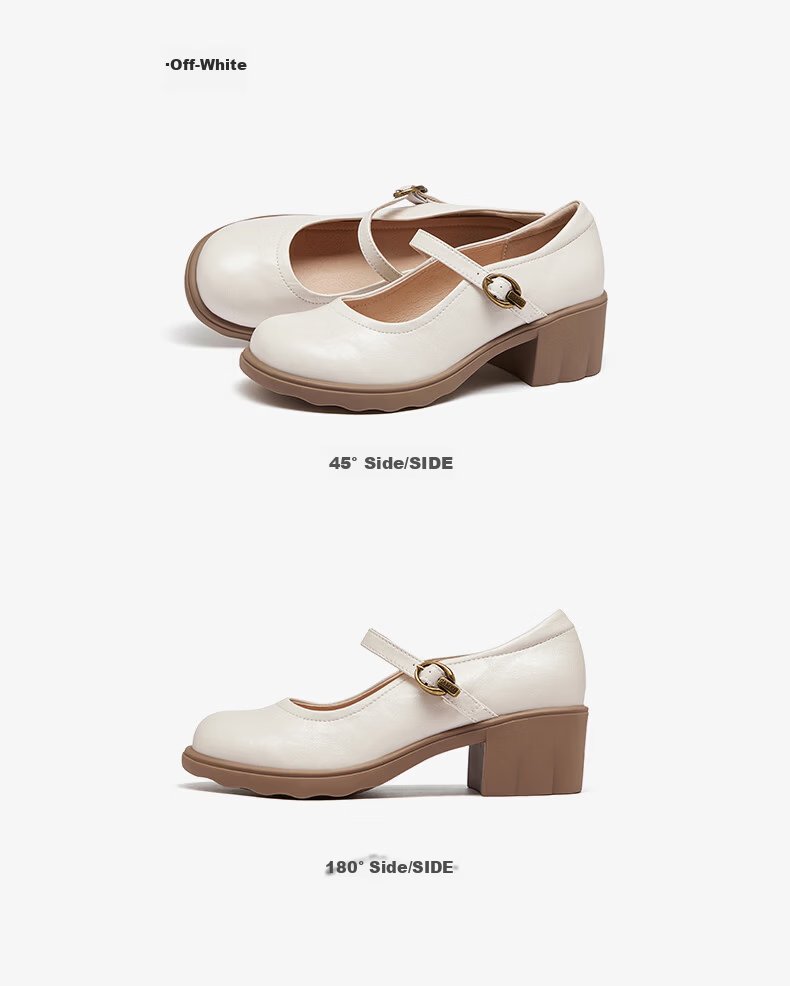 CAMEL Mary Jane Women's Casual Commuter Buckle Strap Chunky Heel Low-Cut Single Shoes L26S504057 Brown Size 40 19