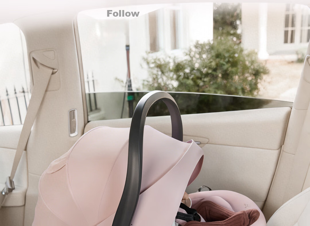 Welldon Little Crown 3 New National Standard Infant Car Seat Carrier 0-15 Months Newborn Baby Special Seat 2