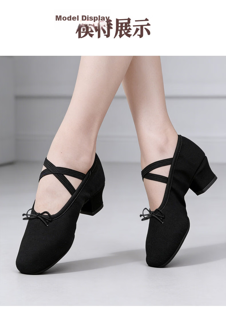 SooGree Dance Shoes with Soft Sole Canvas Teacher Shoes Belly Dance Shoes Posture Etiquette Training Shoes Adult Ballet Shoes 6