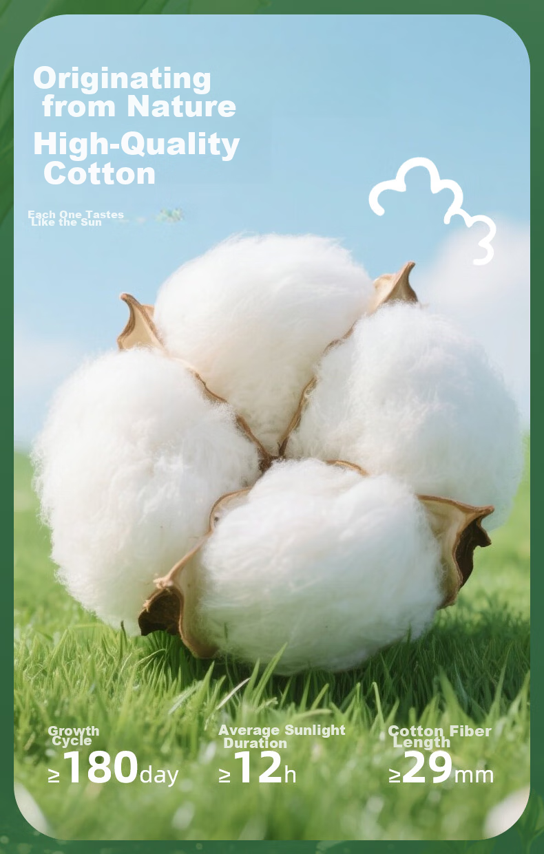 Ziyouxi Seaweed Antibacterial Kids Underwear Boys Pure Cotton Class A Full Cotton Toddler Underpants No Pinch 4
