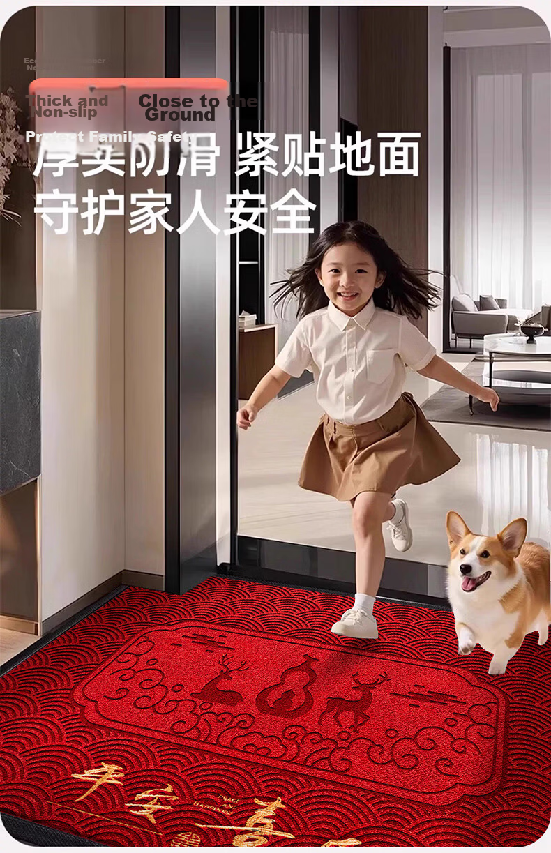 Fengliang Premium Entrance Door Mat Non-Slip High-End Floor Carpet 90x120cm 12