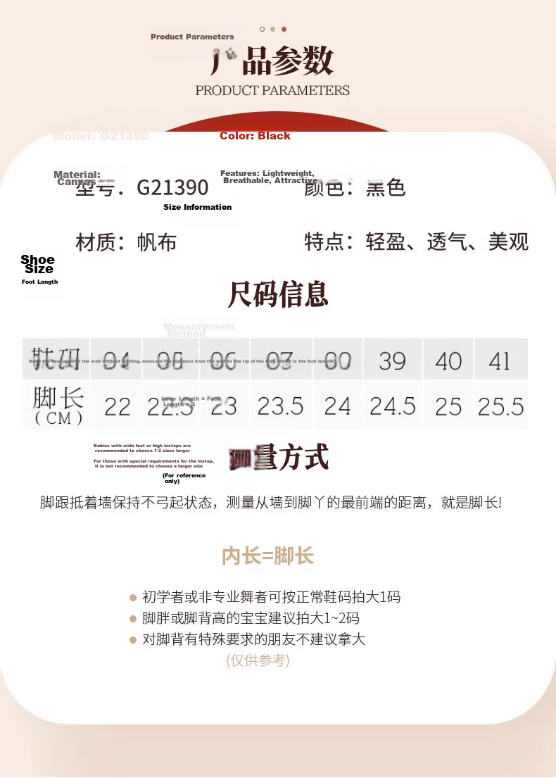 SooGree Dance Shoes with Soft Sole Canvas Teacher Shoes Belly Dance Shoes Posture Etiquette Training Shoes Adult Ballet Shoes 5