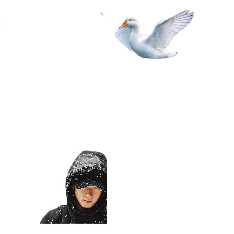 White Image 2