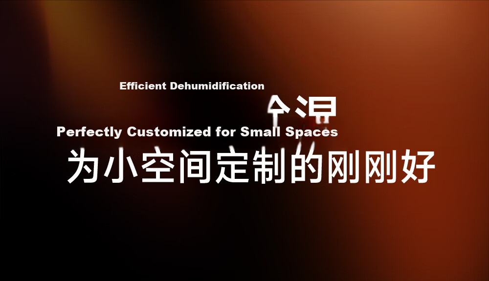 Zhuimi Intelligent Dehumidifier, Quiet DD12, Efficient Dehumidification for Home Use, Moisture Removal Machine, for Humid Seasons And Rainy Days, Suitable for Living Room And Bedroom, Prevents Mold Growth, 12L/day Capacity, Covers 20 Square Meters 3