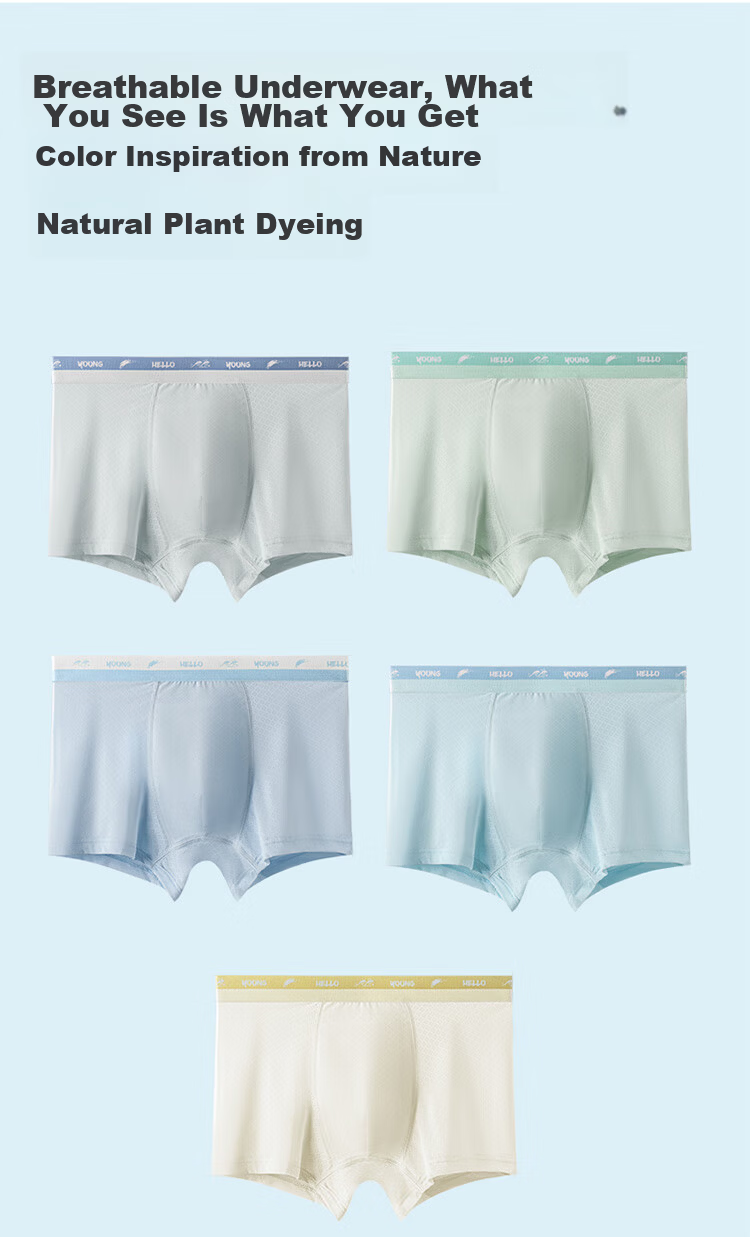 Hongdou Teen Boys Development Period Summer Boxer Briefs 10A Antibacterial Ice Silk Breathable Cool Underwear for Older Children 11