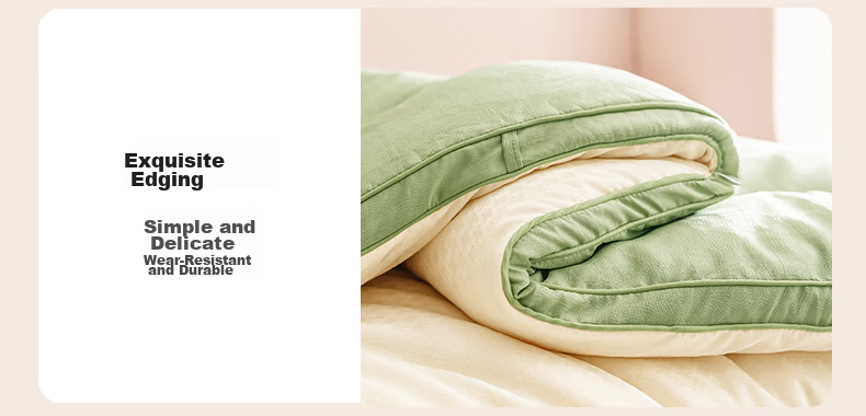 Hodo Thickened Winter Soybean Quilt Cotton Core 1.5m x 2m 5 Jin Dormitory Single Quilt White Yellow 20