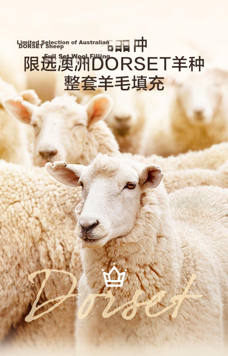 JD Jingzao Gold Label 100% Australian Wool Quilt A-Class All-Season Comforter 220×240cm Approx. 6.2 Jin 9