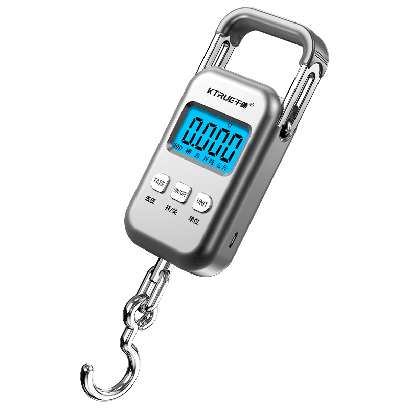 Qianque Portable Electronic Scale 100 Jin Precision Commercial Home Food Weighing Portable Spring Scale Fish Scale Kitchen Rechargeable