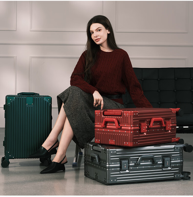 ELLE France 20-inch Black Fashion Aluminum Frame Trolley Suitcase with Spinner Wheels TSA Lock Travel Luggage 3