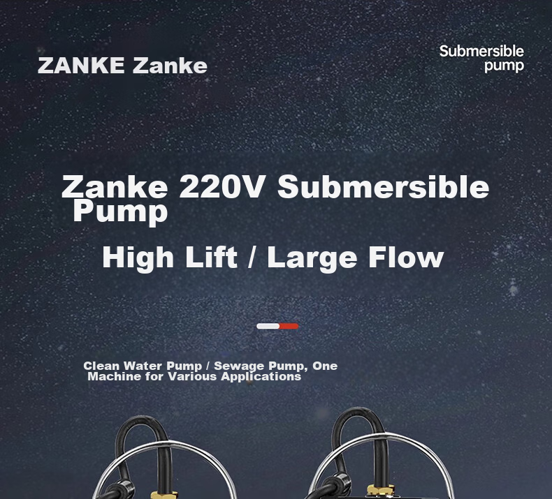 Zanke Submersible Pump Household Well Water 220V Stainless Steel 1 Inch 370W Clean Water Pump for Agricultural Irrigation 1