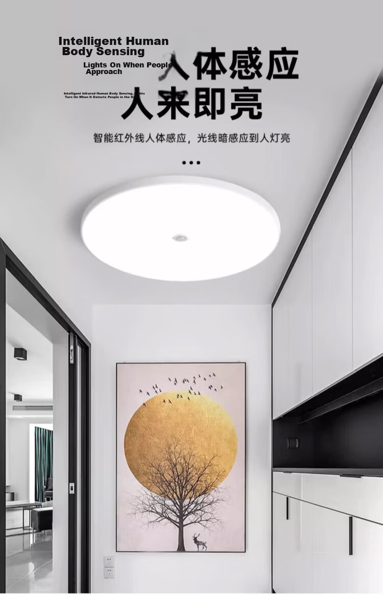 Biuyum Radar Sensor LED Ceiling Industrial Waterproof Light Engineering Stairway Corridor Ultra-thin Motion Sensor Smart Light 18W Diameter 30cm 9