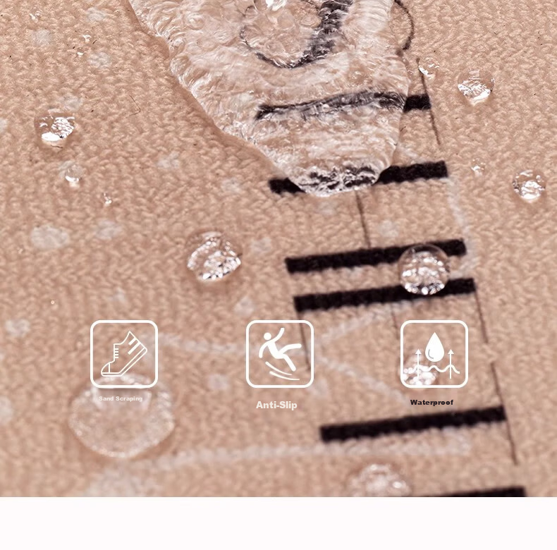 Xinglianxin Entrance Door Mat 2025 New Model Dirt-Resistant Wash-Free Home Floor Mat 60X90cm 9