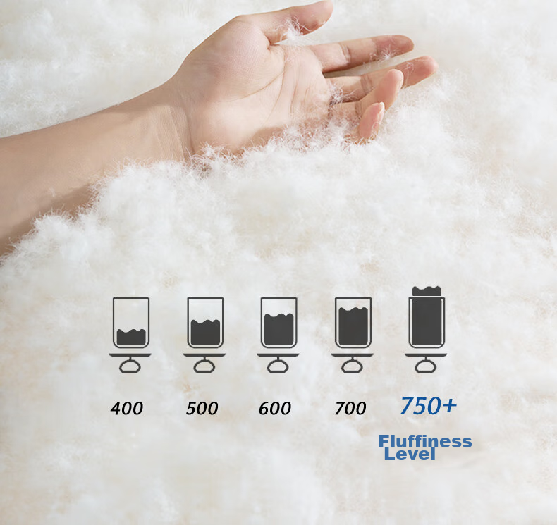Interlagos Ergonomic 95% White Goose Down Comforter, Japanese Imported Duvet Insert, 700g Winter Quilt, 150*200cm 11