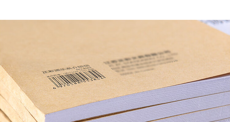 DiLe Premium Series Customized Recommendation Letters, Financial Documents, Office References, Company Introductions, 50 Sheets/book, 4503 (Pack of 5) 12