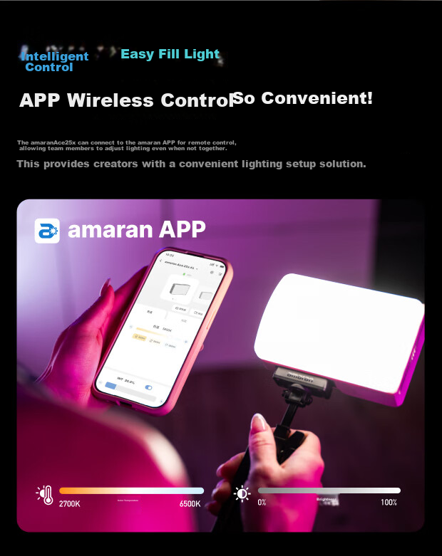 Aputure Ace 25x 25c Handheld Portable Fill Light Video Portrait Outdoor Magnetic Constant Light Travel Outdoor Live Streaming Photography LED Light 17