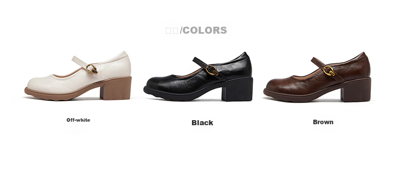 CAMEL Mary Jane Women's Casual Commuter Buckle Strap Chunky Heel Low-Cut Single Shoes L26S504057 Brown Size 40 15