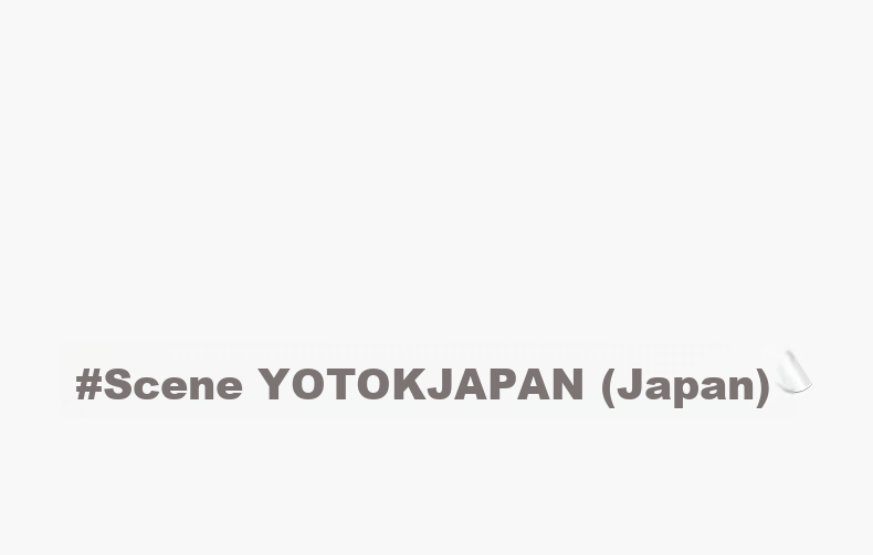 YOTOK Official Genuine Japanese Lumbar Support Office Cushion Backrest Seat Pad Integrated 25