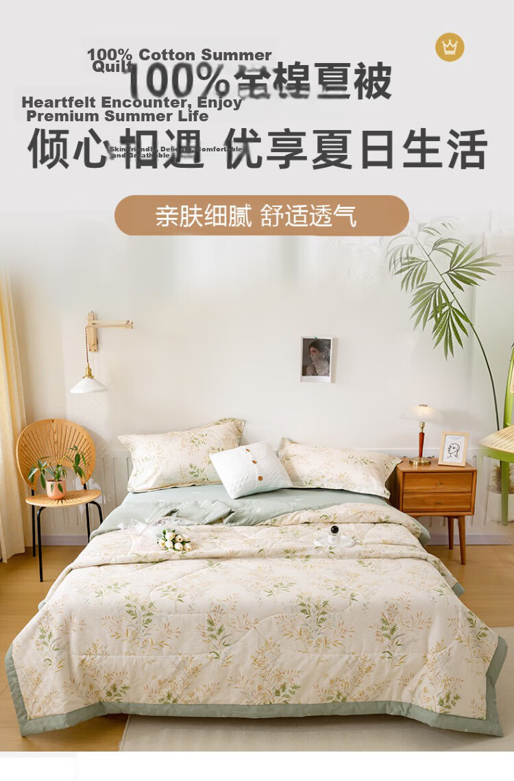 Hengyuanxiang Summer Cooling Quilt, Class A Antibacterial Thin Blanket, 200x230cm, Washable Air Conditioning Quilt, Double Summer Quilt, Spring And Autumn Quilt Insert 1