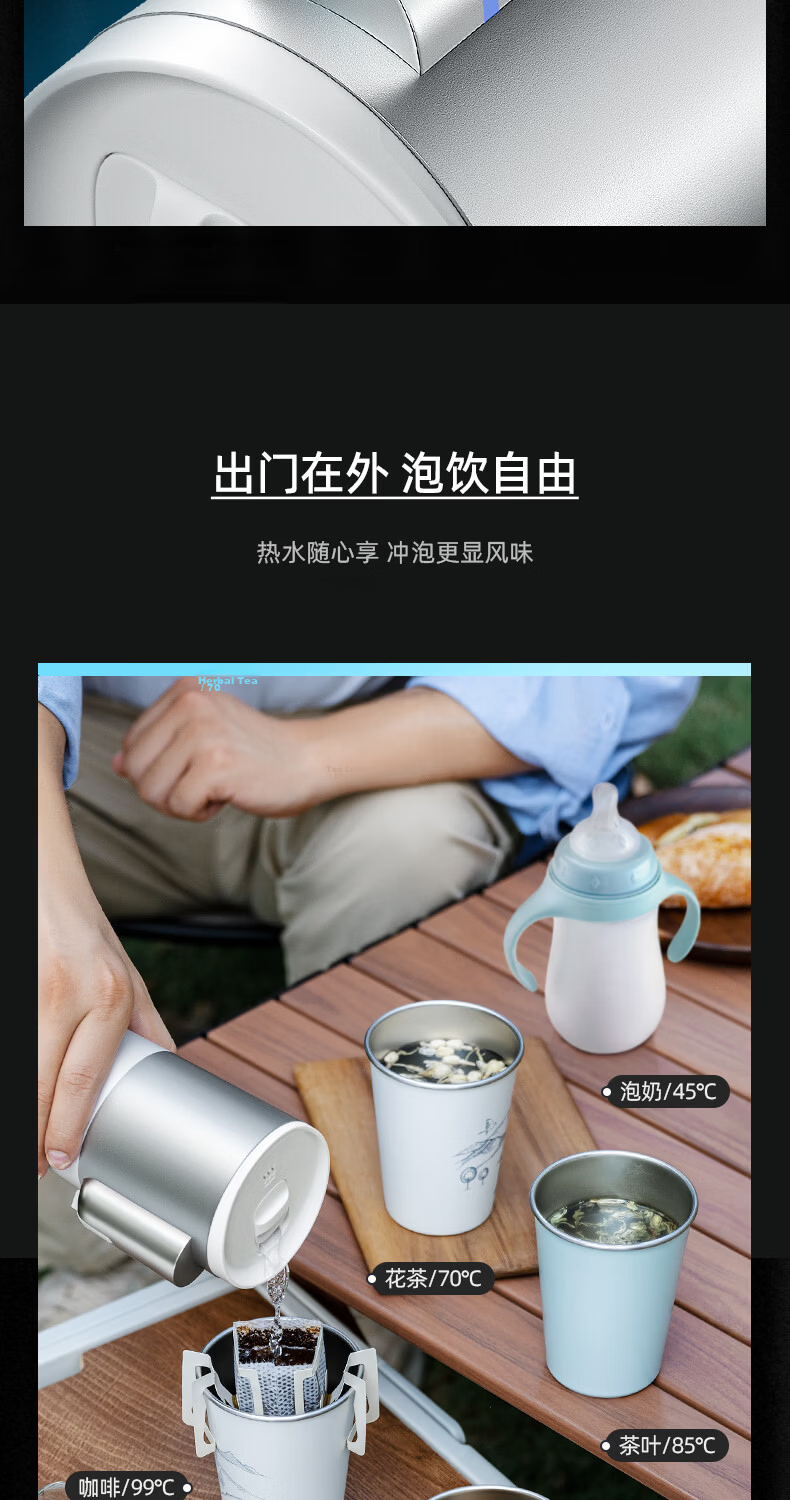 PHILIPS Car Kettle Portable Electric Water Boiler 12V 24V 220V Universal Car Travel Water Heater 6