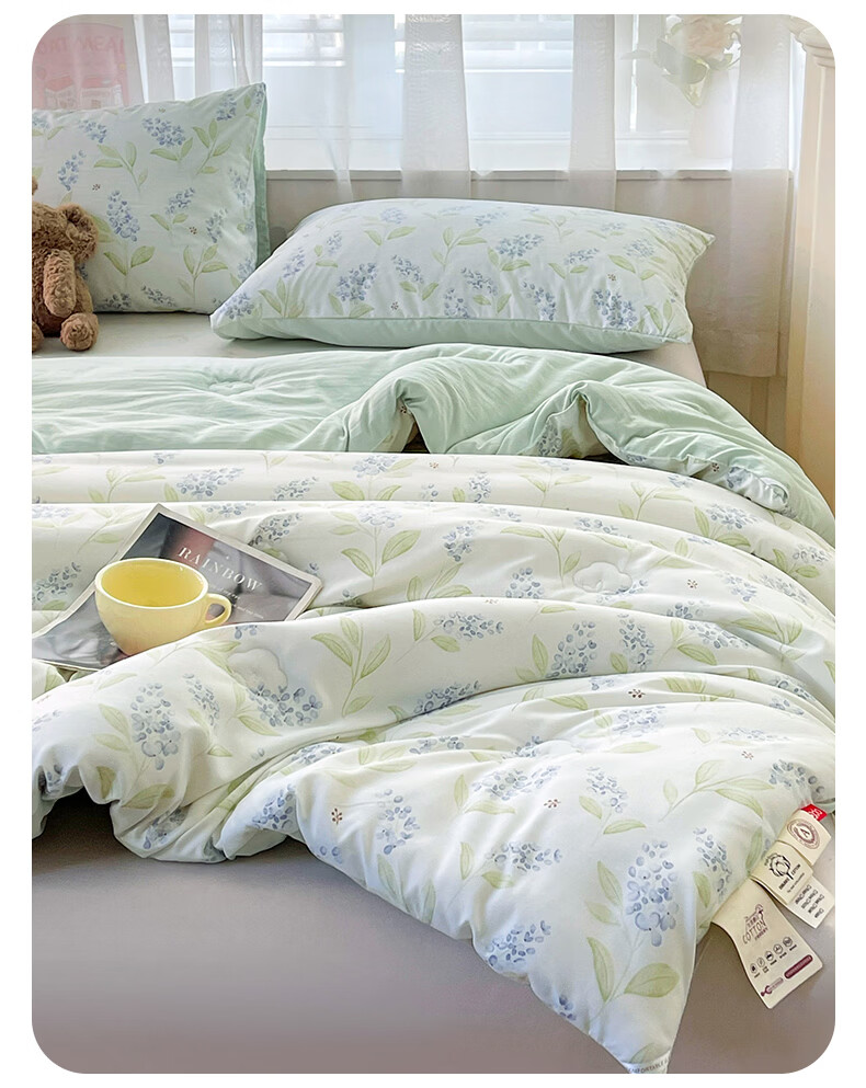 Hongdou Class A Antibacterial Xinjiang Cotton Quilt Core Single Spring and Autumn Quilt Core Air Conditioning Quilt Core 2*2.3m 4 Jin Leaf 13