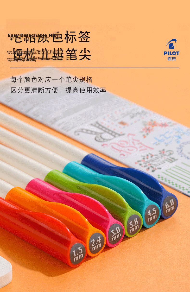 PILOT Calligraphy Parallel Pen 3.8mm Set Artistic Drawing Nib English Calligraphy Fountain Pen 8