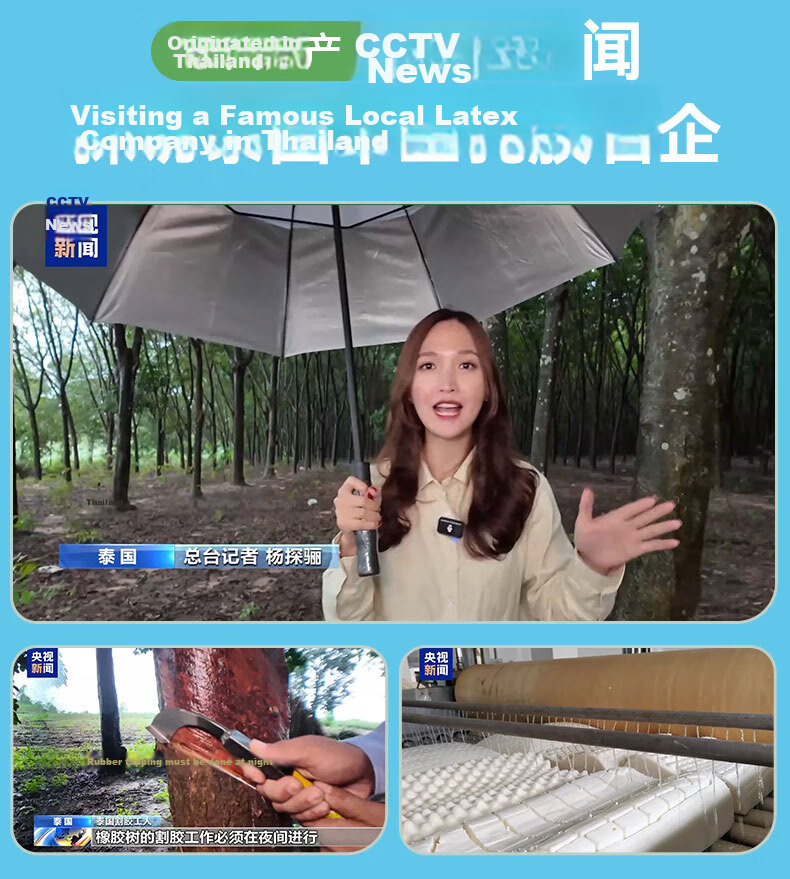 THAISEN Imported Latex Mattress from Thailand, 95D Tatami Mattress, 94% Content, Double Bed Size 1.5m/2m/5cm Thi 2