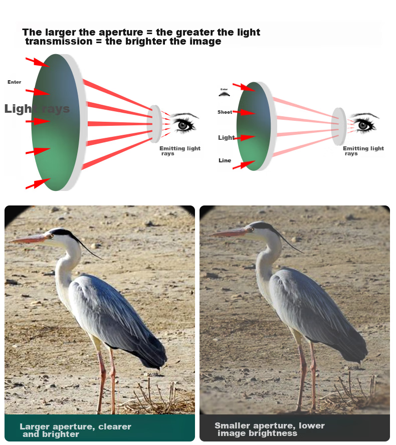 SAGA Professional Variable Zoom Birdwatching Telescope 20-60x High Power HD Spotting Scope Compatible with DSLR and Smartphone 5
