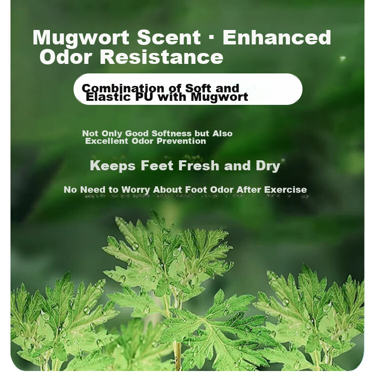 Zulijian Mugwort Deodorant Insoles Breathable Sweat-Absorbing Odor-Resistant Long-Lasting Fragrance Women's Soft Sole Comfortable Men's Anti-Fatigue Insoles for Prolonged Standing 3
