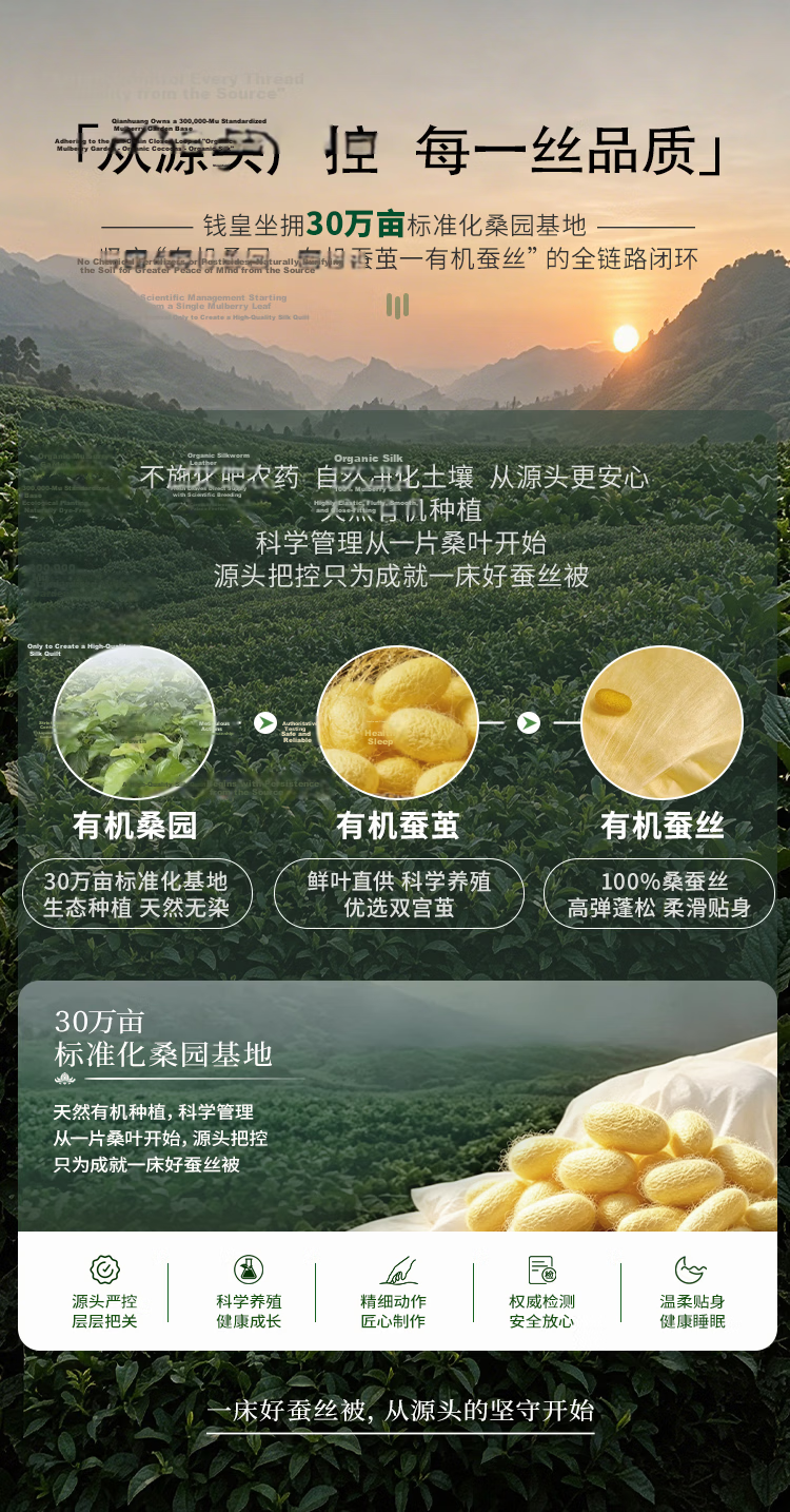 Qianhuang Gold Silk Air Conditioning Summer Quilt 100% Mulberry Long Silk Silk Quilt 1 Jin 200*230cm Yellow 4