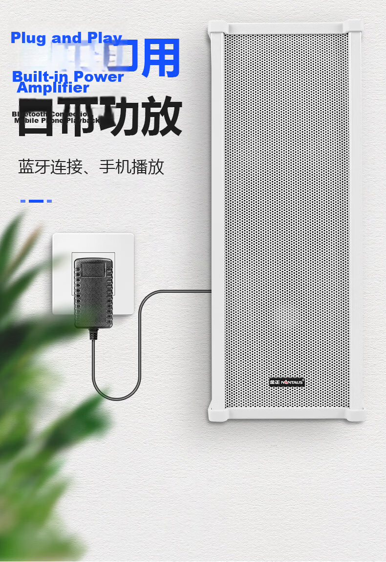 NINTAUS 30W Waterproof Outdoor Speaker with Camera, Wall-Mounted Amplifier Speaker Set for School Playground, Park, Conference, Public Broadcasting, and Shop Music 3