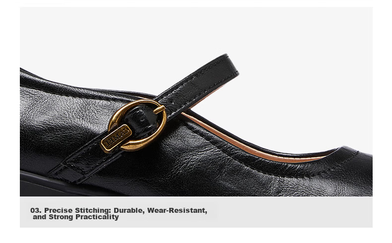 CAMEL Mary Jane Women's Casual Commuter Buckle Strap Chunky Heel Low-Cut Single Shoes L26S504057 Brown Size 40 17