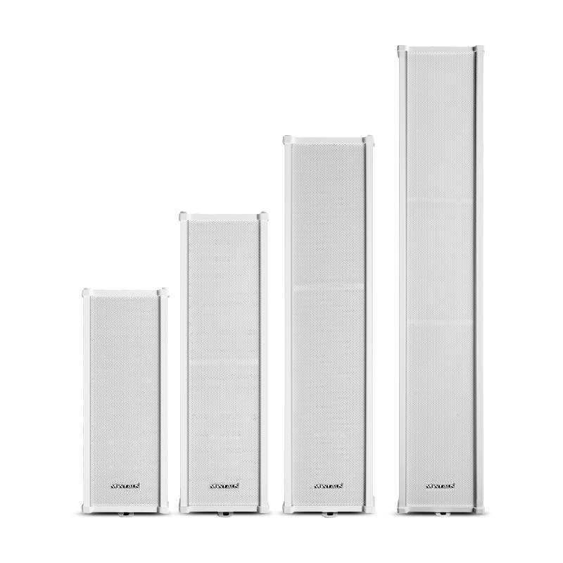 NINTAUS 30W Waterproof Outdoor Speaker with Camera, Wall-Mounted Amplifier Speaker Set for School Playground, Park, Conference, Public Broadcasting, and Shop Music