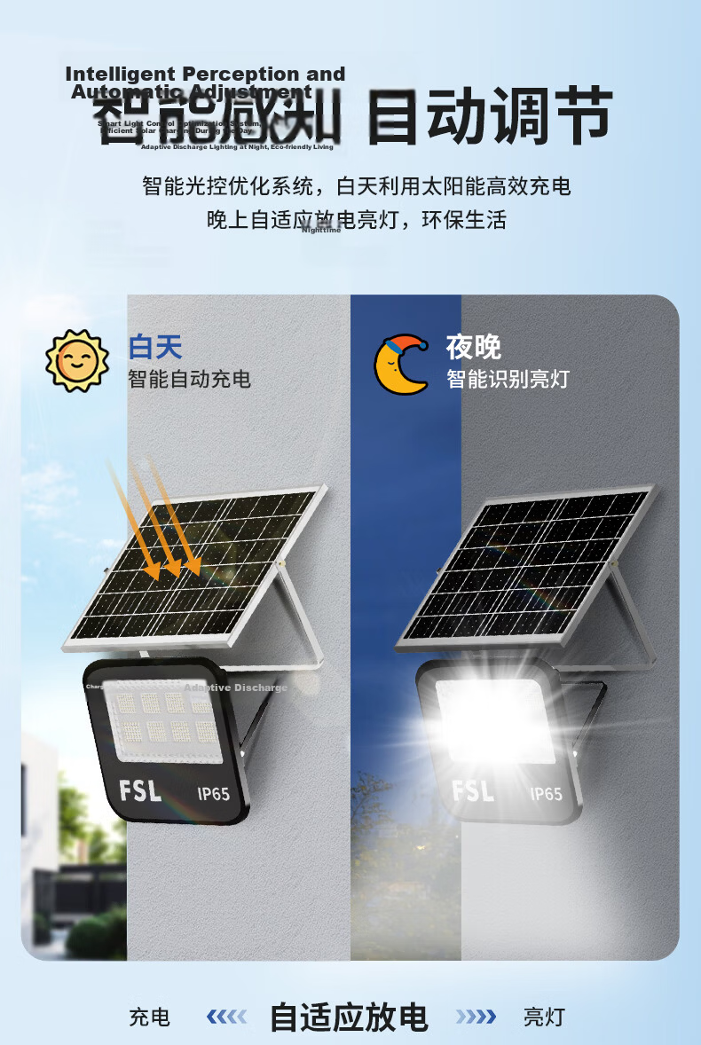 FSL Foshan Lighting Solar Outdoor Street Light New Rural IP65 Waterproof Super Bright Floodlight 1080lm with 2.2m Charging Cable and Remote Light Control 10