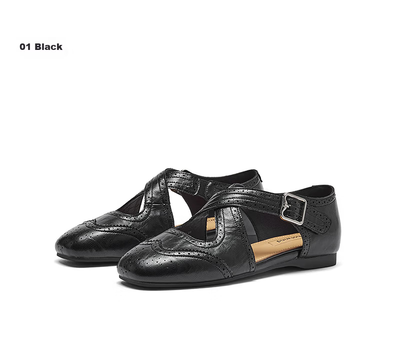 Hotwind Hollow Out Flat Mary Jane Ballet Style Women's Shoes 2026 Spring Autumn Retro Vintage Small Leather Shoes 7