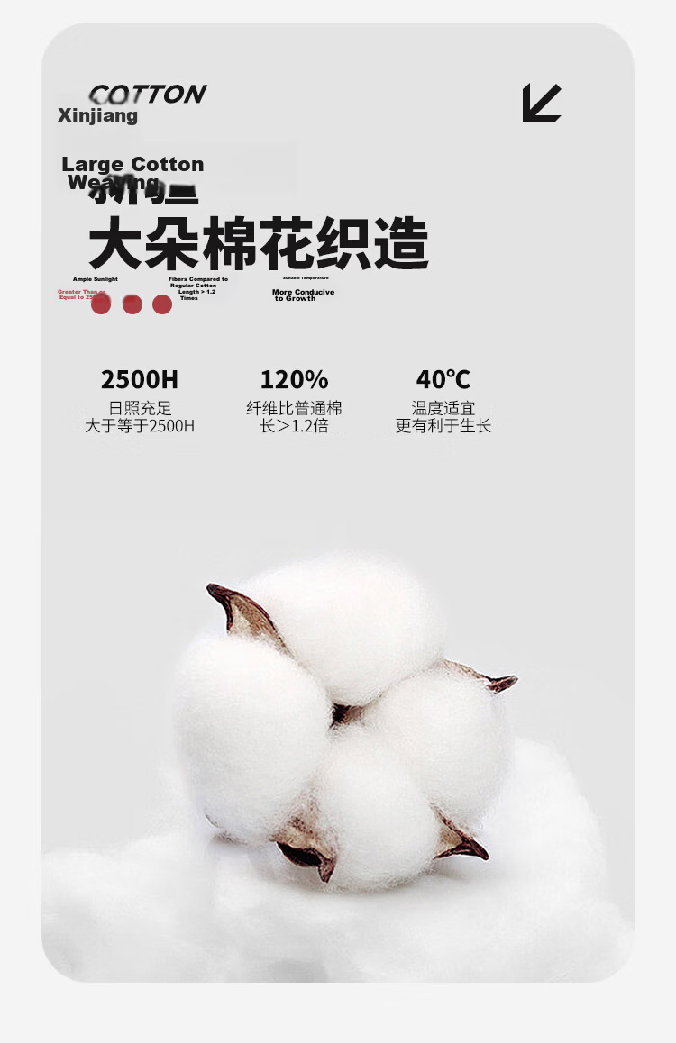 Wuyinliangpin Class A All-Cotton Summer Quilt, 100% Pure Cotton Xinjiang Cotton Air Conditioning Blanket for Summer, 1.5x2 Meters, Panda Patter 9