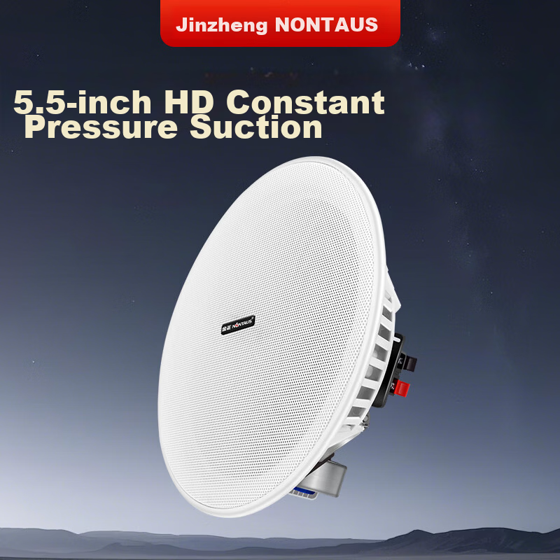 NINTAUS 5.5 Inch Ceiling Mounted Constant Voltage Speaker Embedded Background Music Public Address Loudspeaker W-5