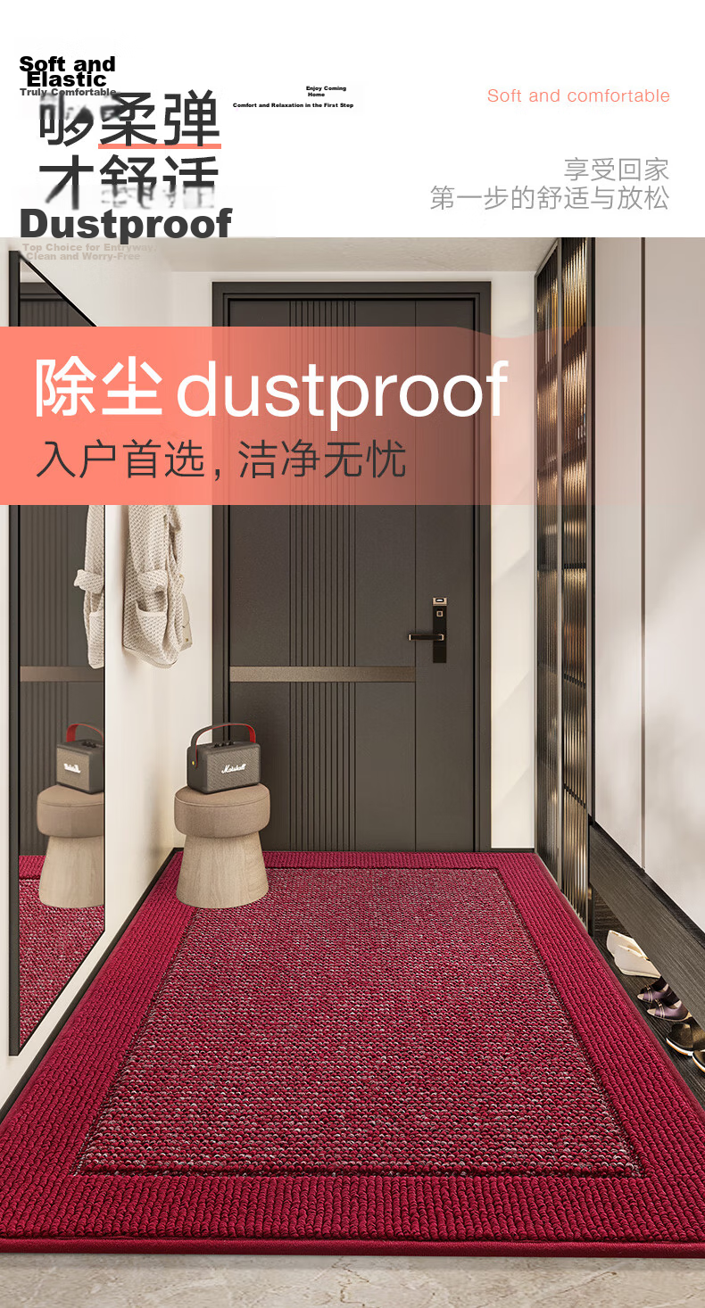 Dajiang Entrance Door Mat Floor Mat 2026 New High-End Carpet 60x90cm 2