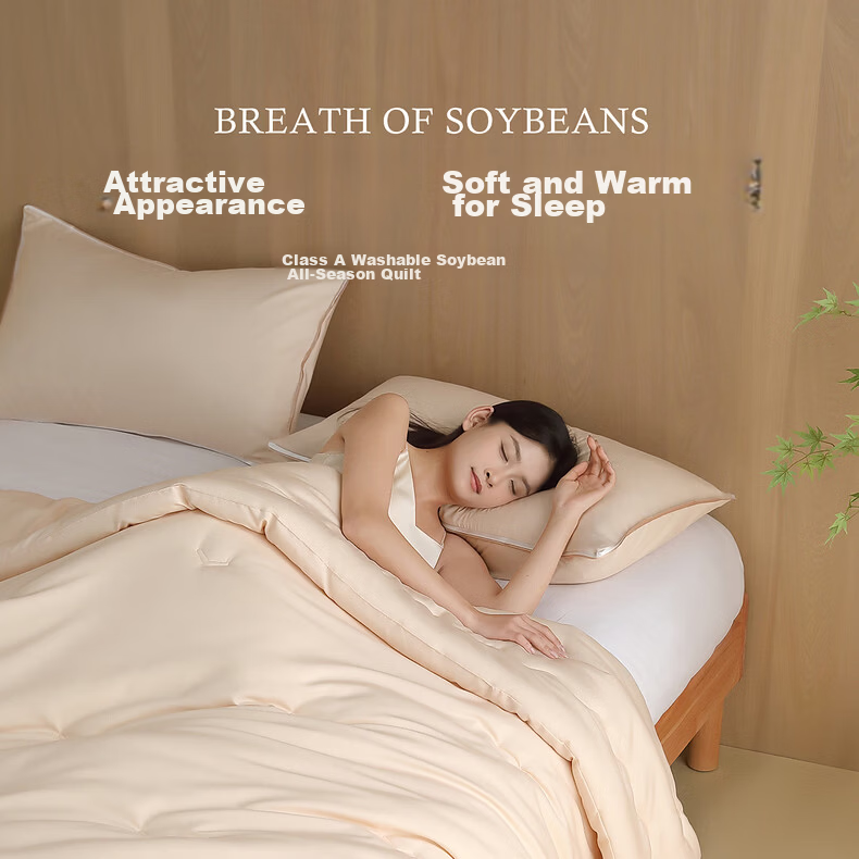 Shuixingjiafang Soybean Quilt Summer Cool Quilt Double Air Conditioning Quilt Washable Summer Quilt Thin Quilt 220x240cm Approximately 4 Ji 1
