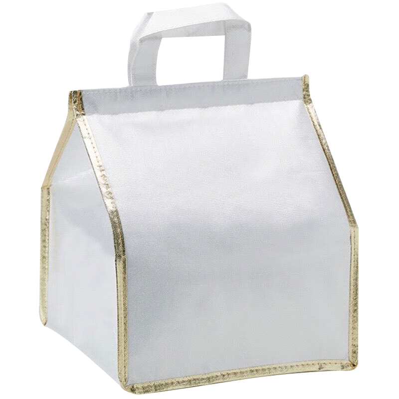 Youzhi Small Portable Insulated Bag, Takeout Food Container with Thick Walls And Multiple Uses, 2-Pack