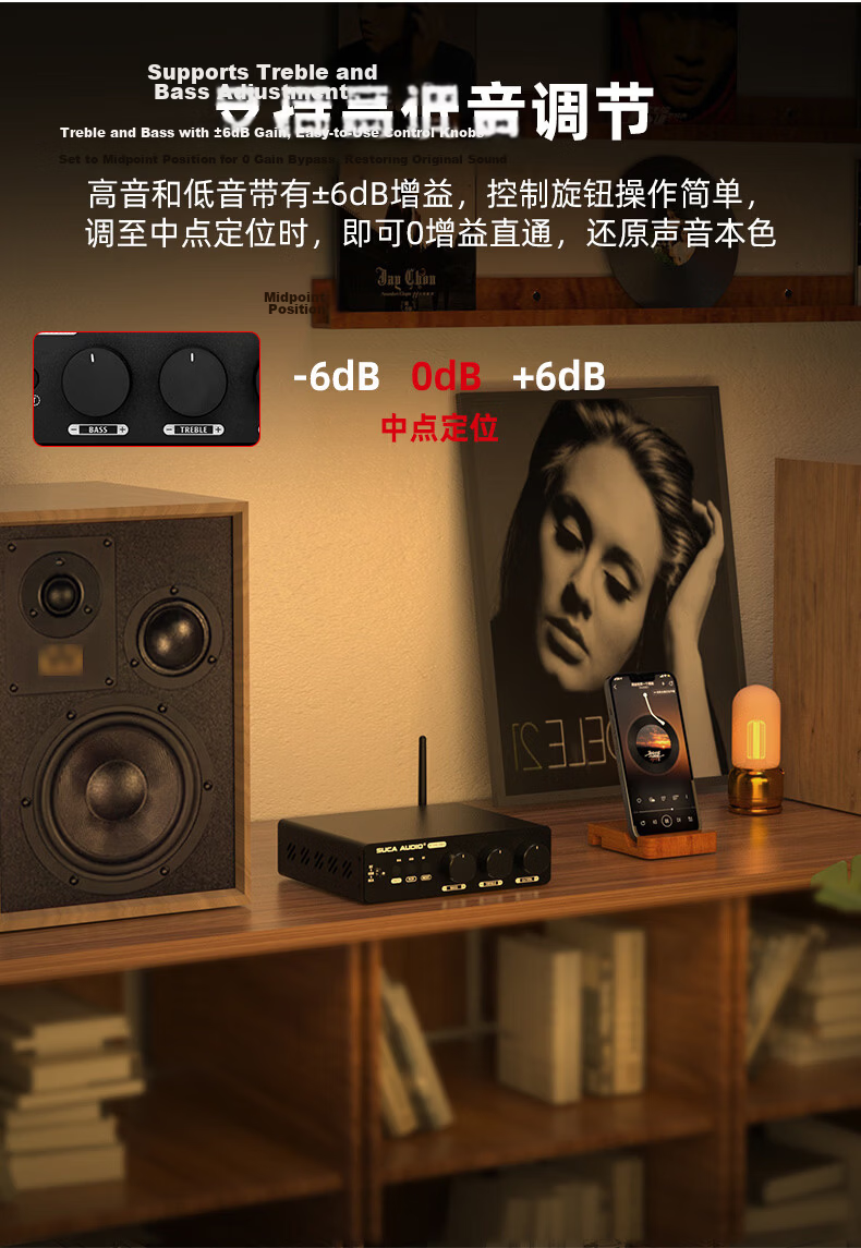 SUCA AUDIO Shengyouchuang 99E PRO High Power Bluetooth 5.2 Digital USB Lossless Playback Compact Home Amplifier 10