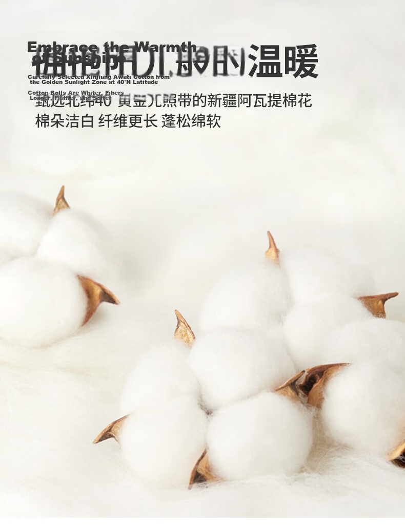 Grace Class A Antibacterial Cotton Quilt Single Dormitory Comforter Spring Autumn 4lbs 150x200cm Sanxinye 3