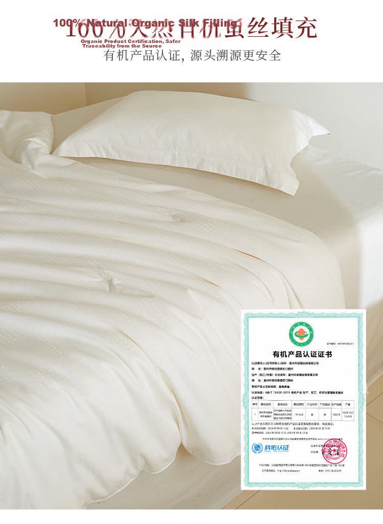 Ciyun Cloud Silk Quilt 100% Silk Medium-Long Fibers Class A Cotton 2-in-1 Four Seasons Mother-Child Quilt 2*2.3m Approx. 9.6 Jin 6