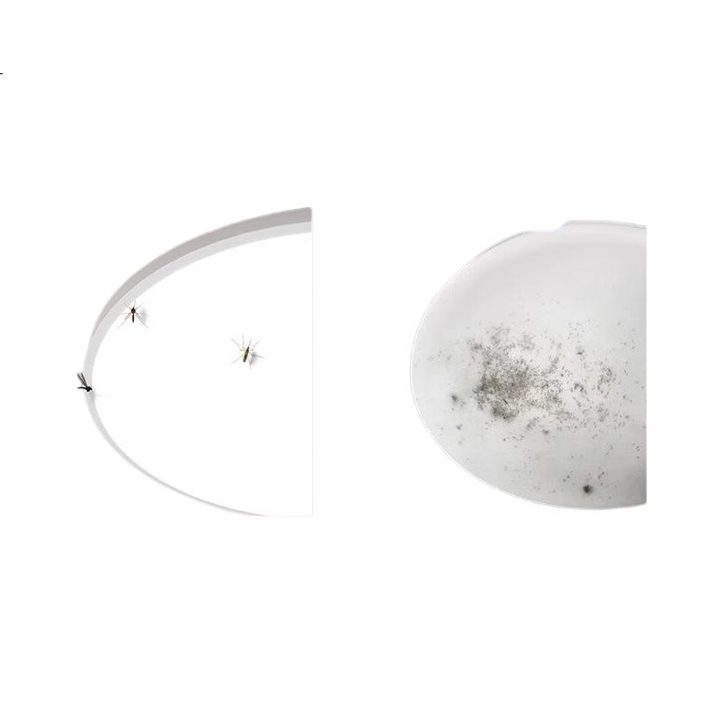 White Image 3
