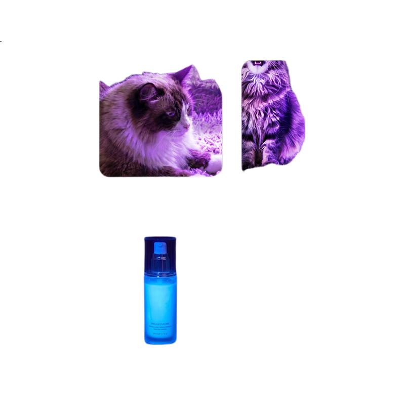 White Image 2