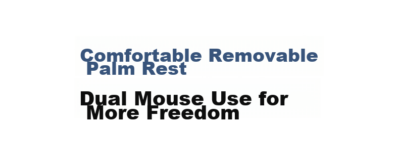 Delux M618GX Ergonomic Vertical Mouse Wireless Office Mouse Portable Detachable Palm Rest White 9