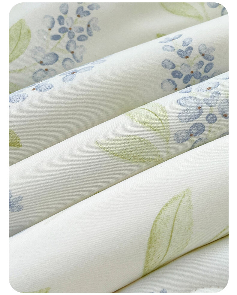 Hongdou Class A Antibacterial Xinjiang Cotton Quilt Core Single Spring and Autumn Quilt Core Air Conditioning Quilt Core 2*2.3m 4 Jin Leaf 11