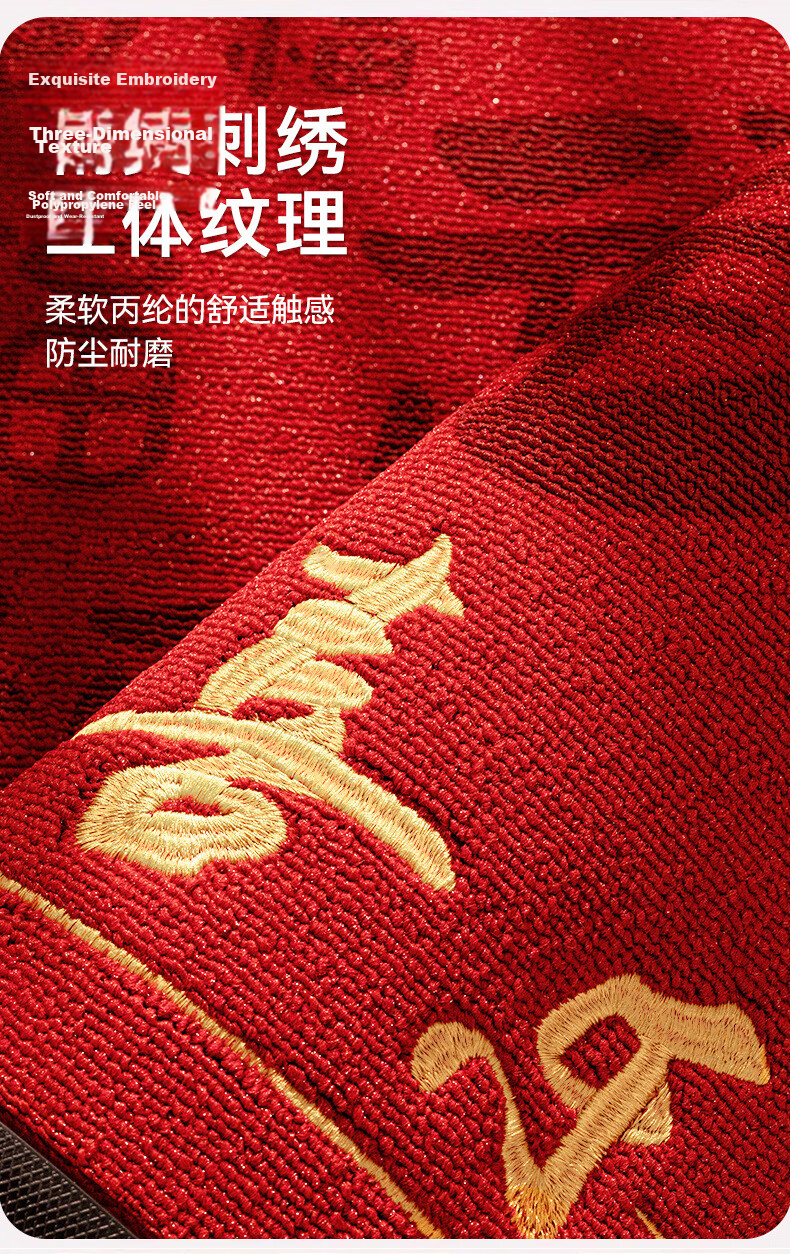 Fengliang Premium Entrance Door Mat Non-Slip High-End Floor Carpet 90x120cm 7