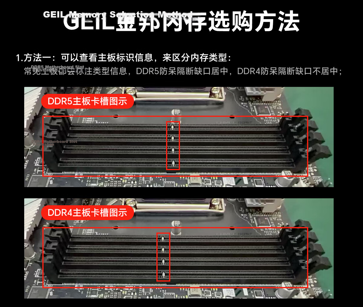 GEIL, 16GB DDR5 6000 Desktop Computer Memory Module, Crab Armor Series Black, Computer Storage Expansion Bar 23