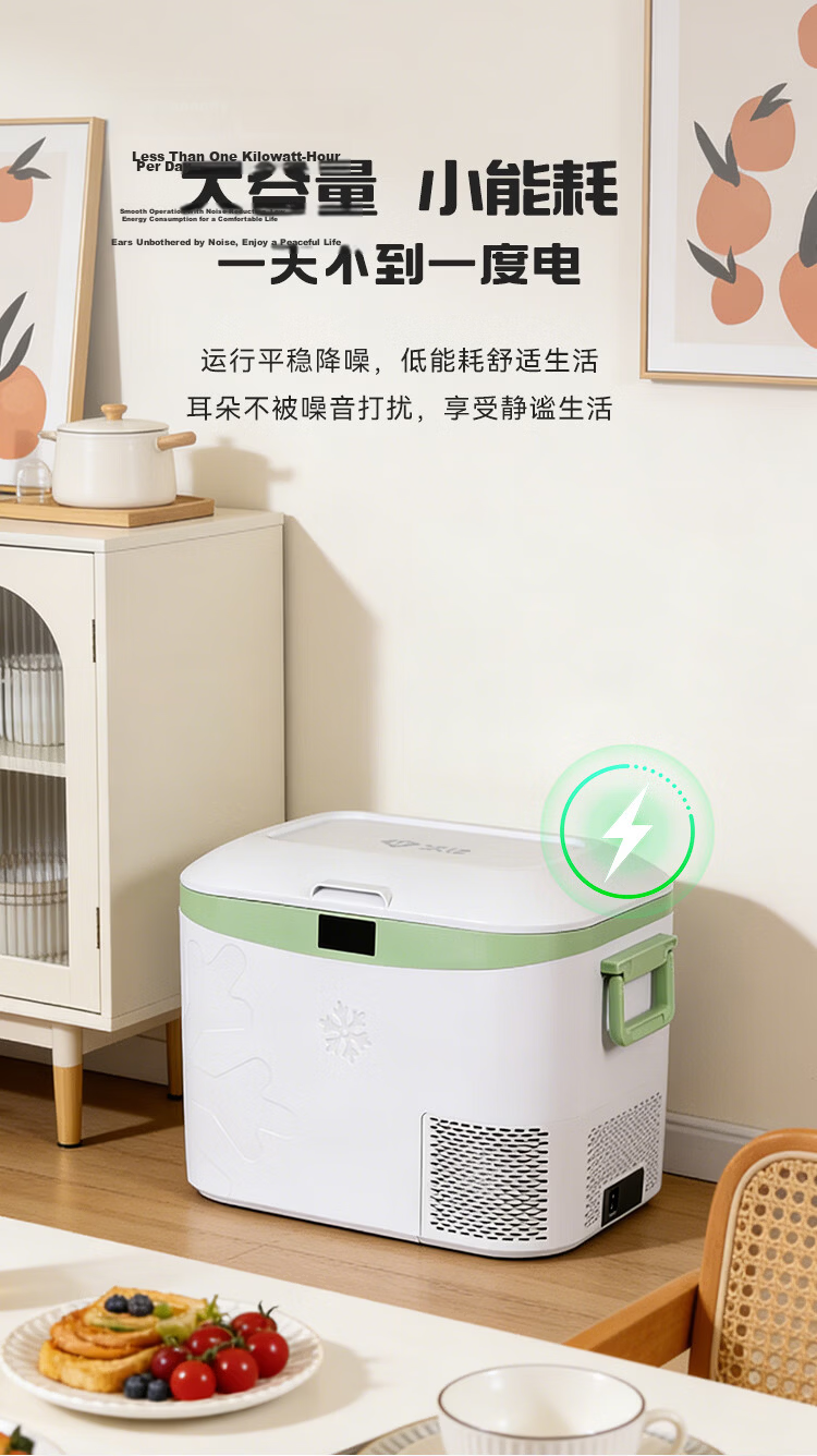 Bingji Car Refrigerator with Compressor Cooling, 22L Capacity, for Car And Home Use, Suitable for Sedans, 12V for Cars, 24V for Trucks, 220V for Home Use, Freezing And Refrigeration Functio 16