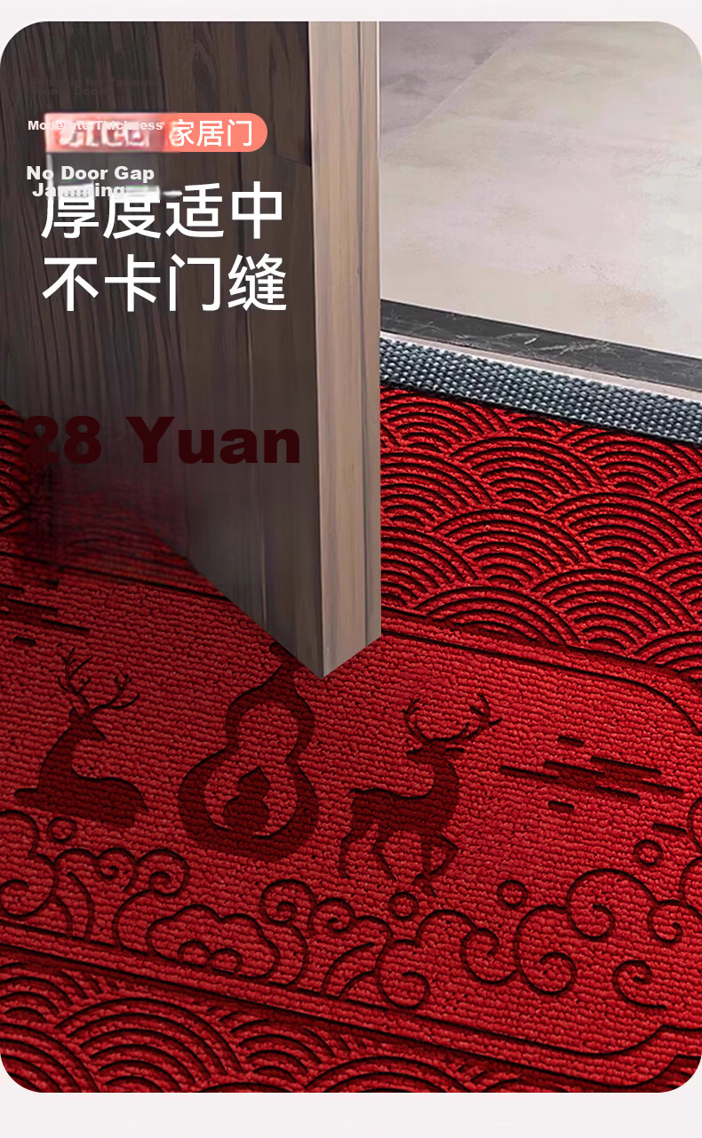 Fengliang Premium Entrance Door Mat Non-Slip High-End Floor Carpet 90x120cm 11
